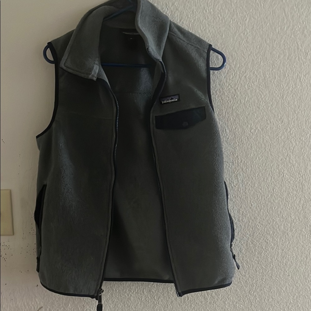 Patagonia Charcoal Fleece Vest for Men